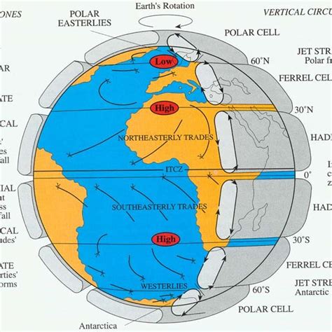 cell model  global air circulation  charnook   scientific diagram