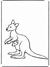 Kangaroo Coloring Pages Baby Printable Kids Cliparts Clipart Animal Zoo Bestcoloringpagesforkids Coloringpages1001 Funnycoloring Colouring Please Library Advertisement sketch template