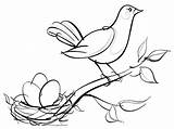 Nest Bird Coloring Sketch Pages Drawing Kids Color Cute Drawings Getdrawings Tocolor Baby Visit sketch template