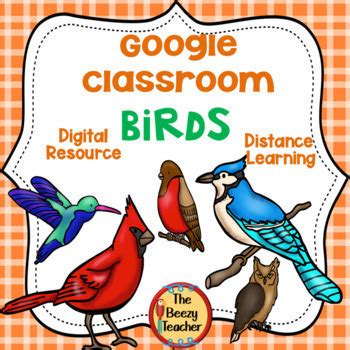bird fact booklet digital resource distance learning  thebeezyteacher
