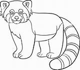 Panda Roux Combo Smiles Getdrawings Bear Dessins sketch template