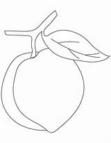 Peach Coloring Pages Kids Colouring Color Fruit Printable Bestcoloringpages Mango Month August Fruits Drawing Para Board Templates Applique National Party sketch template