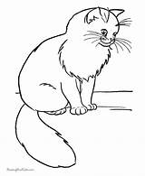 Cat Coloring Printable Pages Choose Board sketch template