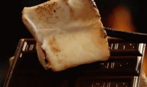 delicious smores find and share on giphy