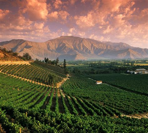mendoza  wine capital  argentina  summits project