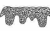 Epithelium Basal Squamous Cells Gif Keratin There Columnar Utah Webpath Med Edu Normal sketch template
