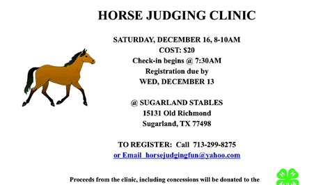 hippology horse judging horse choices