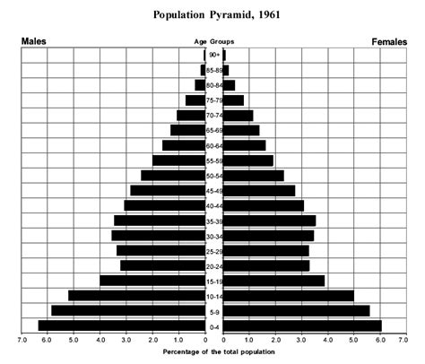 Variations In Population Distribution Worksheet Welcome