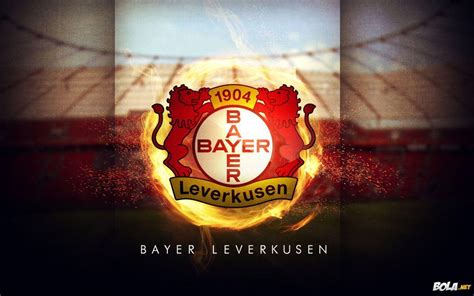 bayer leverkusen  bayer leverkusen    european football  great stepping stones