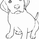 Puppy Drawings Labrador Puppies Vhv sketch template