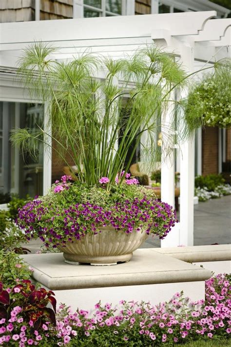 1001 ideas de decoración de jardín con maceteros grandes maceteros pinterest