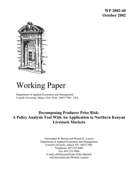 working paper