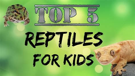 top  reptiles  kids youtube