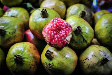 kostenloses foto zum thema asien essen frucht