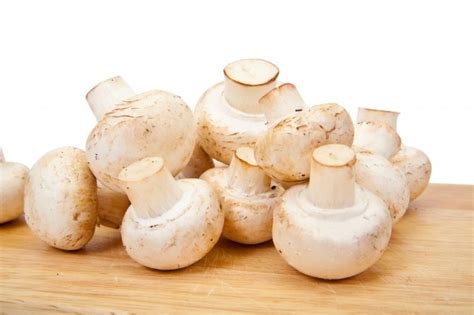 photo champignon mushroom