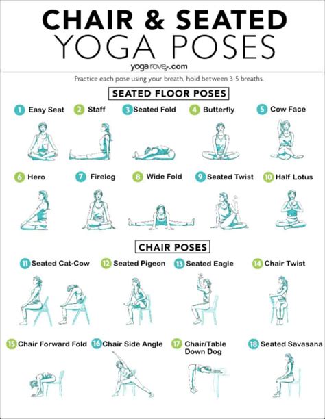 top  seated yoga poses  beginners yoga rove