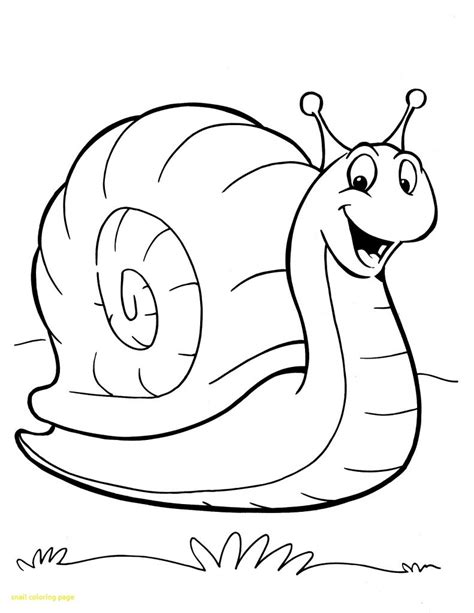 simple snail drawing    clipartmag