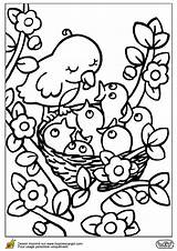 Nid Kleurplaat Coloriages Colorear Oiseau Lente Coloring Vogelnestje Hugolescargot Voorjaar Box Chevaux Maman Vogelnesten Moeilijk Volwassenen Harmonieux Bébés Bébé Escargot sketch template