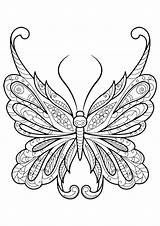 Coloring Butterfly Adult Book Pages Adults Beautiful Color Mandala sketch template