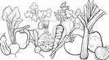Warzywa Kolorowanka Ilustracja Grupa Dla Warzyw Fototapeta Pietruszka Redro Komiks Prace Obrazy Tego Materiały Autora Powiązane sketch template