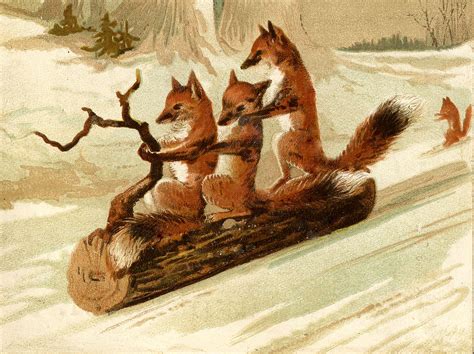 vintage image foxes sledding on log the graphics fairy