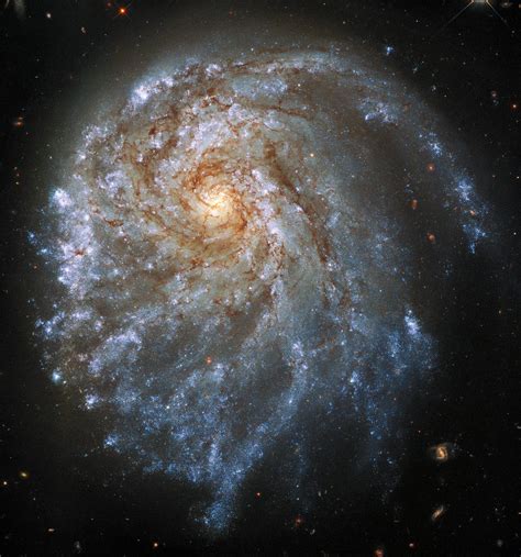 spectacular image captured  hubble shows  strangely contorted spiral galaxy