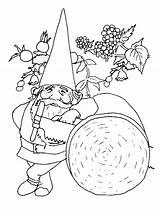 Coloring Pages Gnome Gnomes Garden Clipart Animated Coloringpages1001 Kids Popular Gif Library Results Coloringhome Gifs sketch template