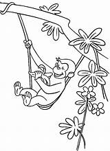 George Curious Coloring Pages Tree Clipart Banana Monkey Halloween Printable Head Library Getcolorings Birthday Happy Comments sketch template