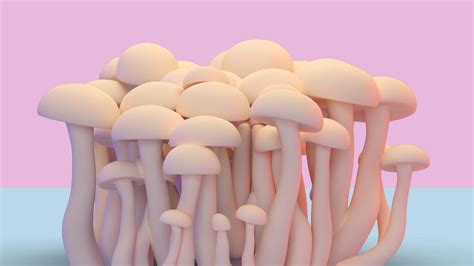 could mushrooms boost your sex drive woman and home