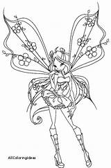 Coloring Fairy Pages Anime Tail Getcolorings sketch template