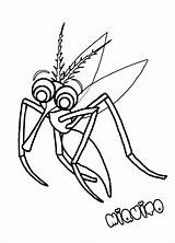 Mosquito Coloring Pages Kids Printable Bestcoloringpagesforkids Baby Her Drawing Results sketch template