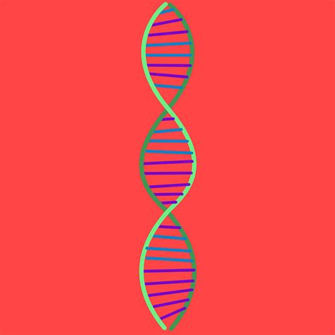 Double Dna Helix Captured On A Photo For The First Time