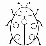 Insectos Pintar sketch template