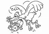 Baby Stork Coloring Printable sketch template