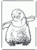 Penguin Coloring Pages Kids Printable Print Happy Feet Emperor Baby Penguins Colouring Cute Animal Pinguin Animals Cartoon Drawing Bestcoloringpagesforkids Club sketch template