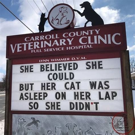 This Vet Clinic Boosts Business Thanks To Its Hilarious Signs 30 Pics