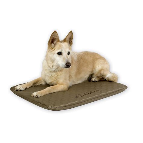 kh lectro soft outdoor heated dog bed petco
