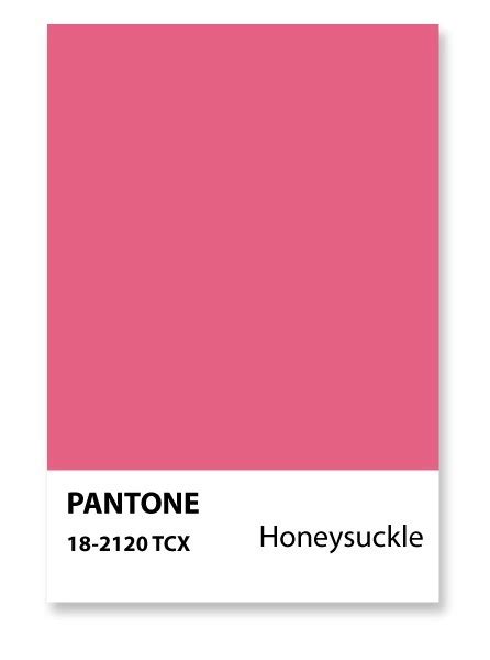pink pantone brings   designer days yogagurl  love pink pinterest pantone