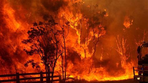 Your Summer Guide To Australian Bushfire Arson Vice