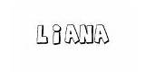 Liana Liberal sketch template