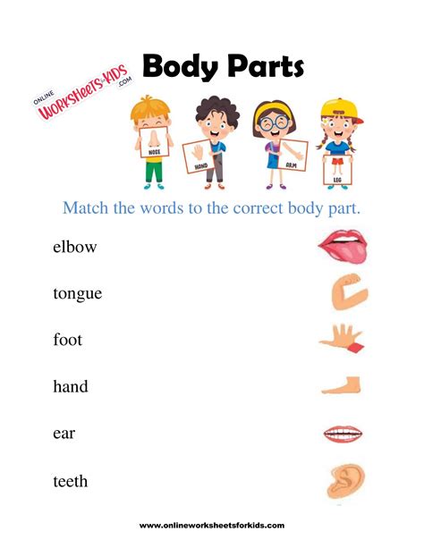bodies kindergarten worksheets  learning body parts kids stock