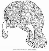 Manatee Coloring Pages Printable Getcolorings Print sketch template