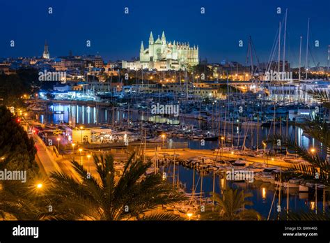 palma de mallorca  night stock photo  alamy