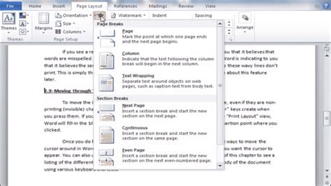 microsoft word  training setting page  section breaks