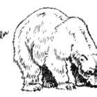 bear coloring pages coloring kids