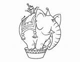 Circus Monkey Elephant Coloring Coloringcrew sketch template