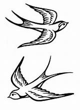 Simple Sparrow sketch template