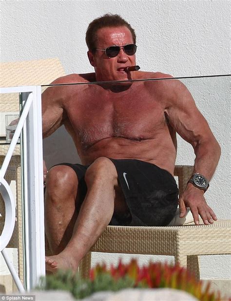 Arnold Schwarzenegger Shows Off Sculpted Physique While Sunbathing In