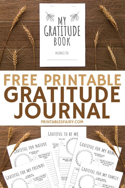 printable gratitude journal  kids  printables fairy