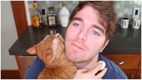 Shane Dawson And His Cat 5 Fast Facts You Need To Know